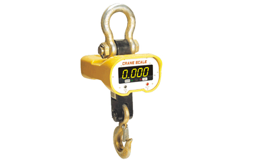 Crane Scale